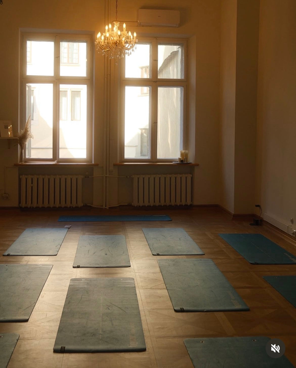 09.05 patet movement club pilates + kompozycje kwiatowe